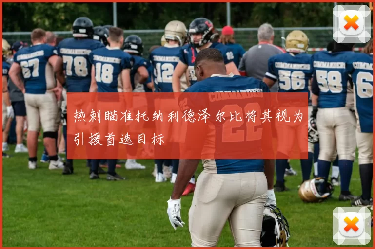热刺瞄准托纳利德泽尔比将其视为引援首选目标